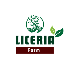 liceria farms client of latvy technologies